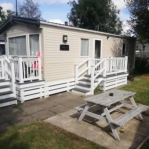  Campsite Narcissus
